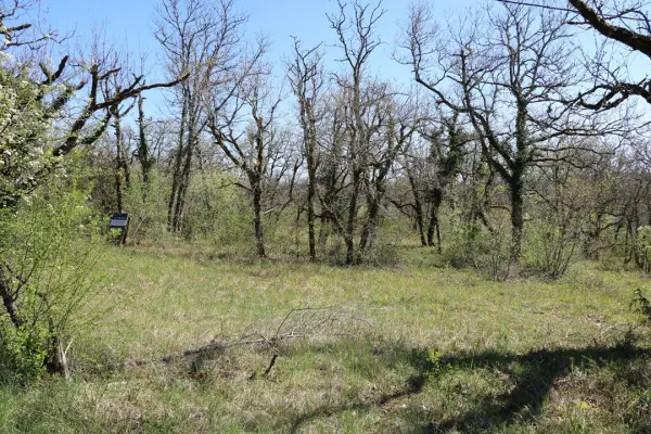 LA DORNAC 24120 – Vente terrain