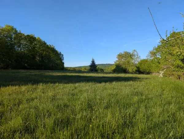 LA CASSAGNE 24120 – Vente terrain