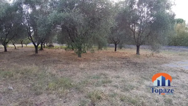 PUGET SUR ARGENS 83480 – Vente terrain