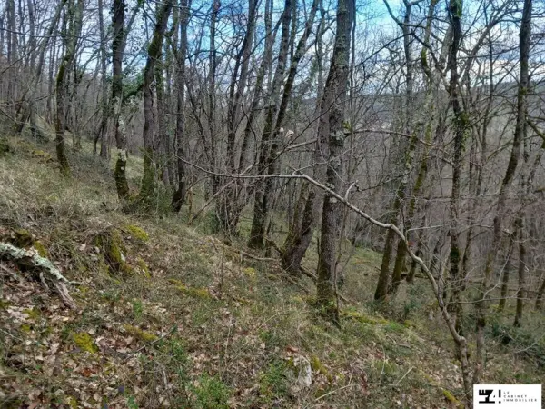 ST MICHEL 31220 – Vente terrain