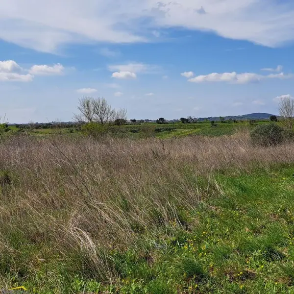 CAUX 34720 – Vente terrain