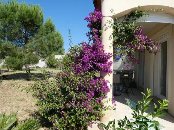 ROUJAN 34320 – Vente maison/villa 8&nbsp;pièces 7&nbsp;chambres
