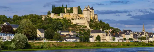 CHINON 37500 – Vente terrain