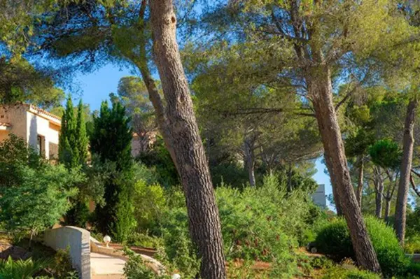 BOULOURIS 83700 – Vente Appartement 2&nbsp;pièces 1&nbsp;chambre