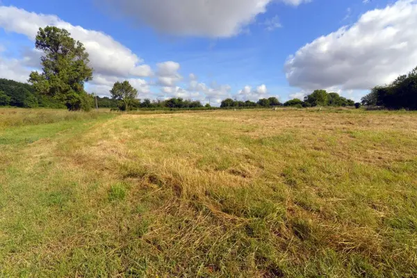 MEURSAC 17120 – Vente terrain