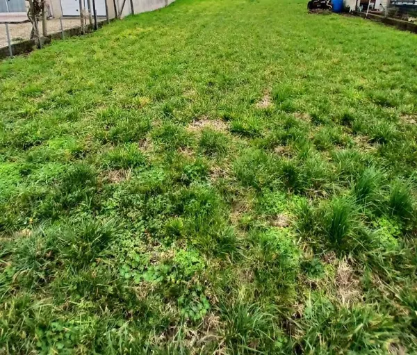 MESCHERS SUR GIRONDE 17132 – Vente terrain