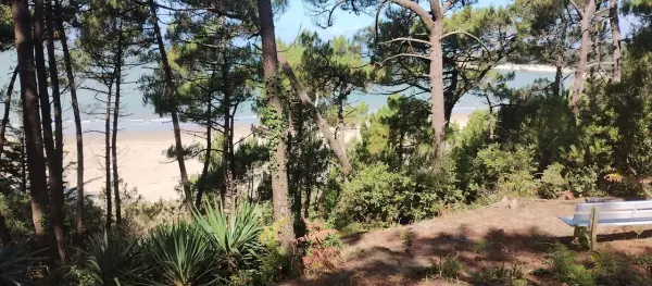 MESCHERS SUR GIRONDE 17132 – Vente maison/villa 5&nbsp;pièces 4&nbsp;chambres
