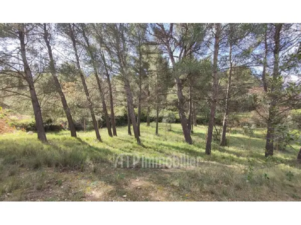 AIX EN PROVENCE 13090 – Vente terrain