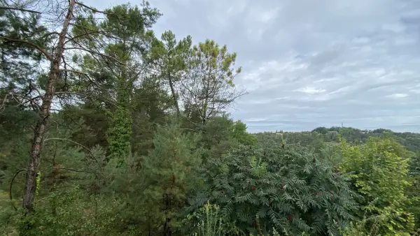 Périgueux 24000 – Vente terrain