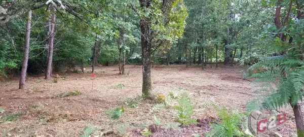 La Brède 33650 – Vente terrain