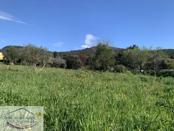 Le Pradet 83220 – Vente terrain