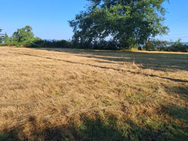 Montgibaud 19210 – Vente terrain