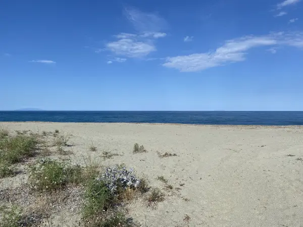 Valle-di-Campoloro 20221 – Vente maison/villa 16&nbsp;pièces 12&nbsp;chambres