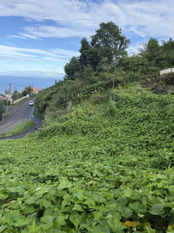 La chaloupe 97416 – Vente terrain