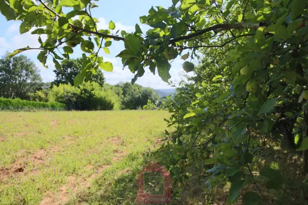 Puy-l&rsquo;Évêque 46700 – Vente terrain