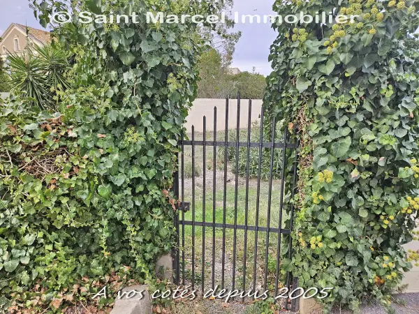Saint-Nazaire-d&rsquo;Aude 11120 – Vente terrain