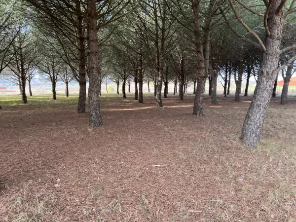Peyriac-Minervois 11160 – Vente terrain