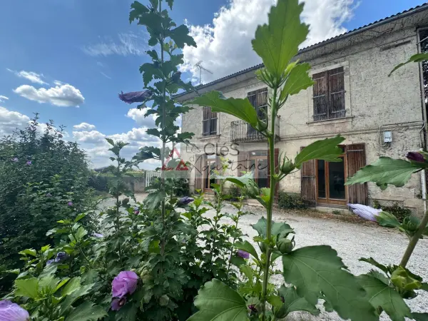 Barsac 33720 – Vente maison/villa 5&nbsp;pièces 3&nbsp;chambres