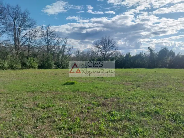 Tabanac 33550 – Vente terrain