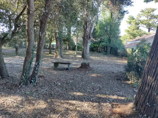 L&rsquo;Épine 85740 – Vente terrain