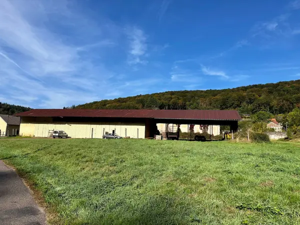 Saint-Bresson 70280 – Vente local