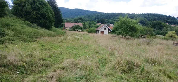 Giromagny 90200 – Vente terrain