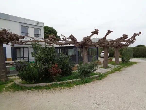 Avignon 84000 – Vente immeuble