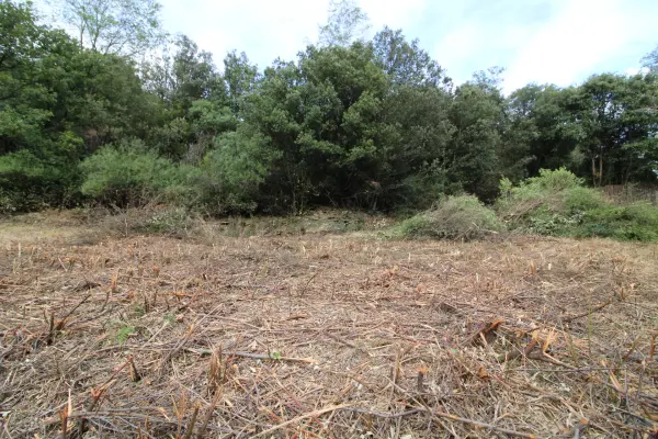 Plantiers 30122 – Vente terrain