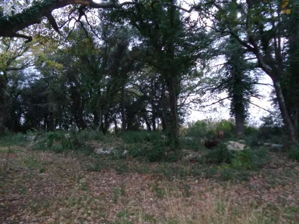 Villevieille 30250 – Vente terrain