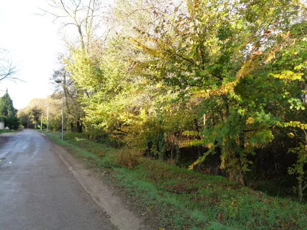 Saint-Étienne-du-Grès 13103 – Vente terrain