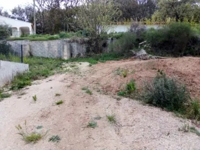 Vidauban 83550 – Vente terrain