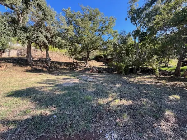 Vidauban 83550 – Vente terrain