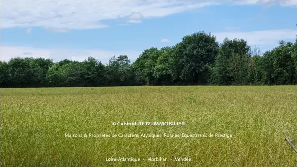 Challans 85300 – Vente maison/villa 6&nbsp;pièces 4&nbsp;chambres