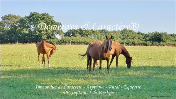 Ancenis 44150 – Vente maison/villa 5&nbsp;pièces 4&nbsp;chambres