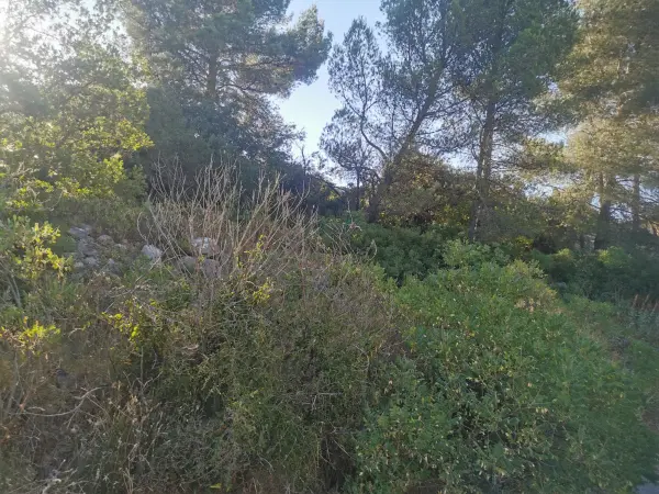 Le Luc 83340 – Vente terrain