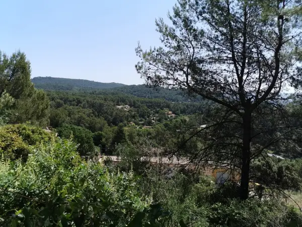 Le Luc 83340 – Vente terrain