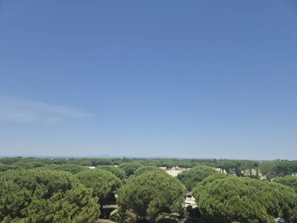 La Grande-Motte 34280 – Vente appartement 2&nbsp;pièces 1&nbsp;chambre