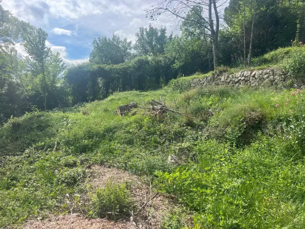 Grasse 06130 – Vente terrain