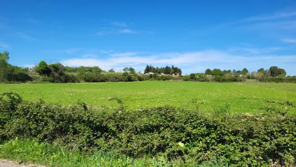 Pignan 34570 – Vente terrain