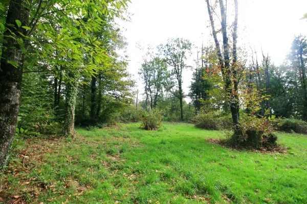 Plazac 24580 – Vente terrain