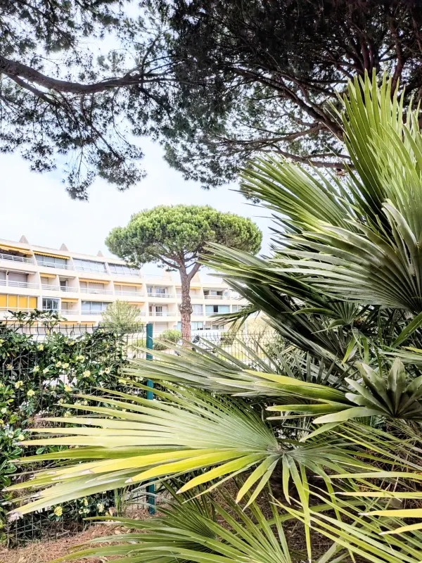 Le Grau-du-Roi 30240 – Vente appartement 2&nbsp;pièces 1&nbsp;chambre