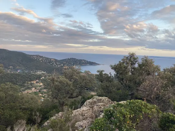 Le Lavandou 83980 – Vente terrain