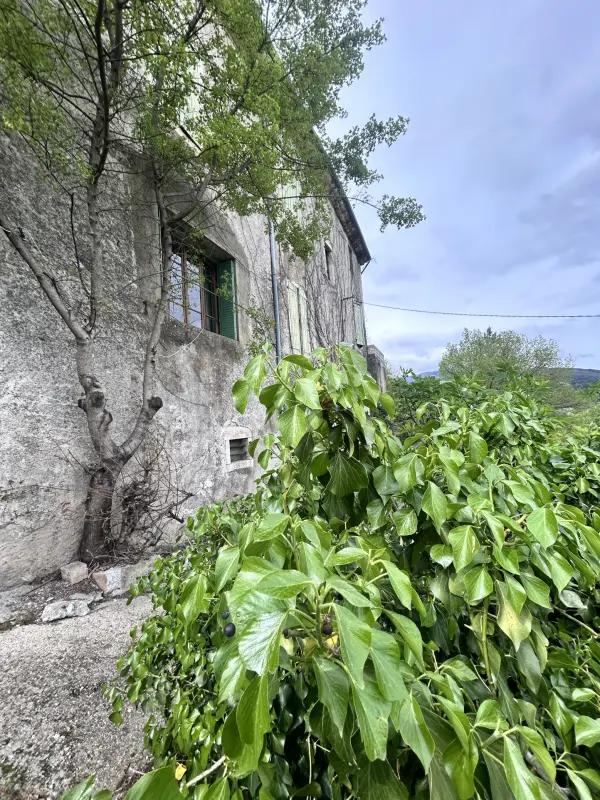 Molières-Cavaillac 30120 – Vente maison/villa 9&nbsp;pièces 4&nbsp;chambres