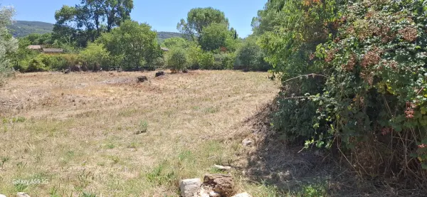 Laroque 34190 – Vente terrain