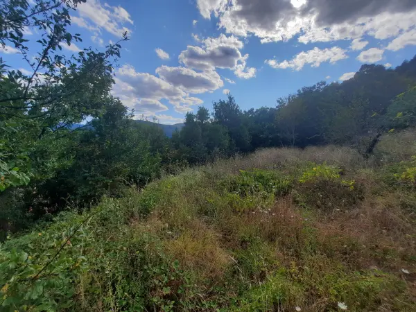 Le Vigan 30120 – Vente terrain