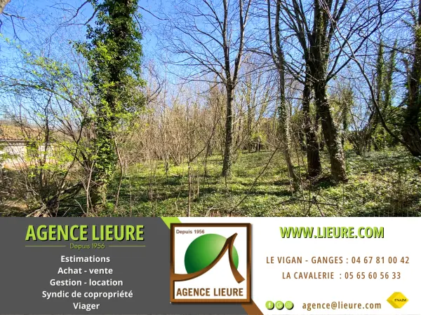 Bréau-et-Salagosse 30120 – Vente terrain