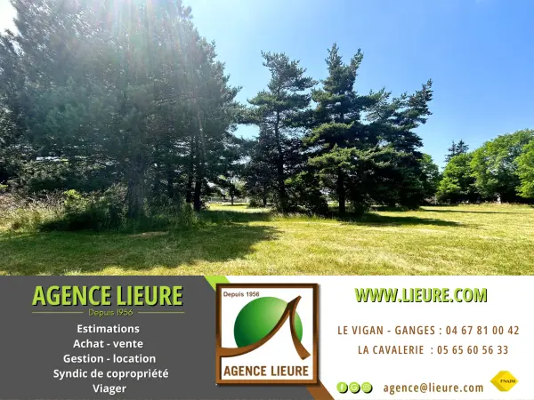 Saint-Sauveur-Camprieu 30750 – Vente terrain