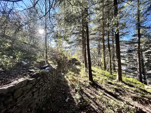 Aulas 30120 – Vente terrain