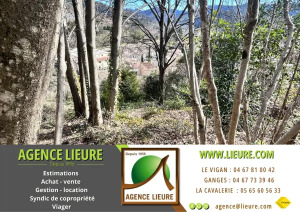 Le Vigan 30120 – Vente terrain