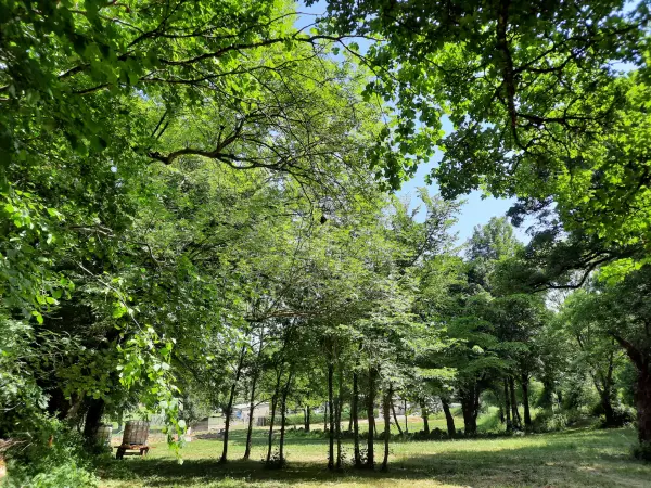 Viala-du-Pas-de-Jaux 12250 – Vente terrain